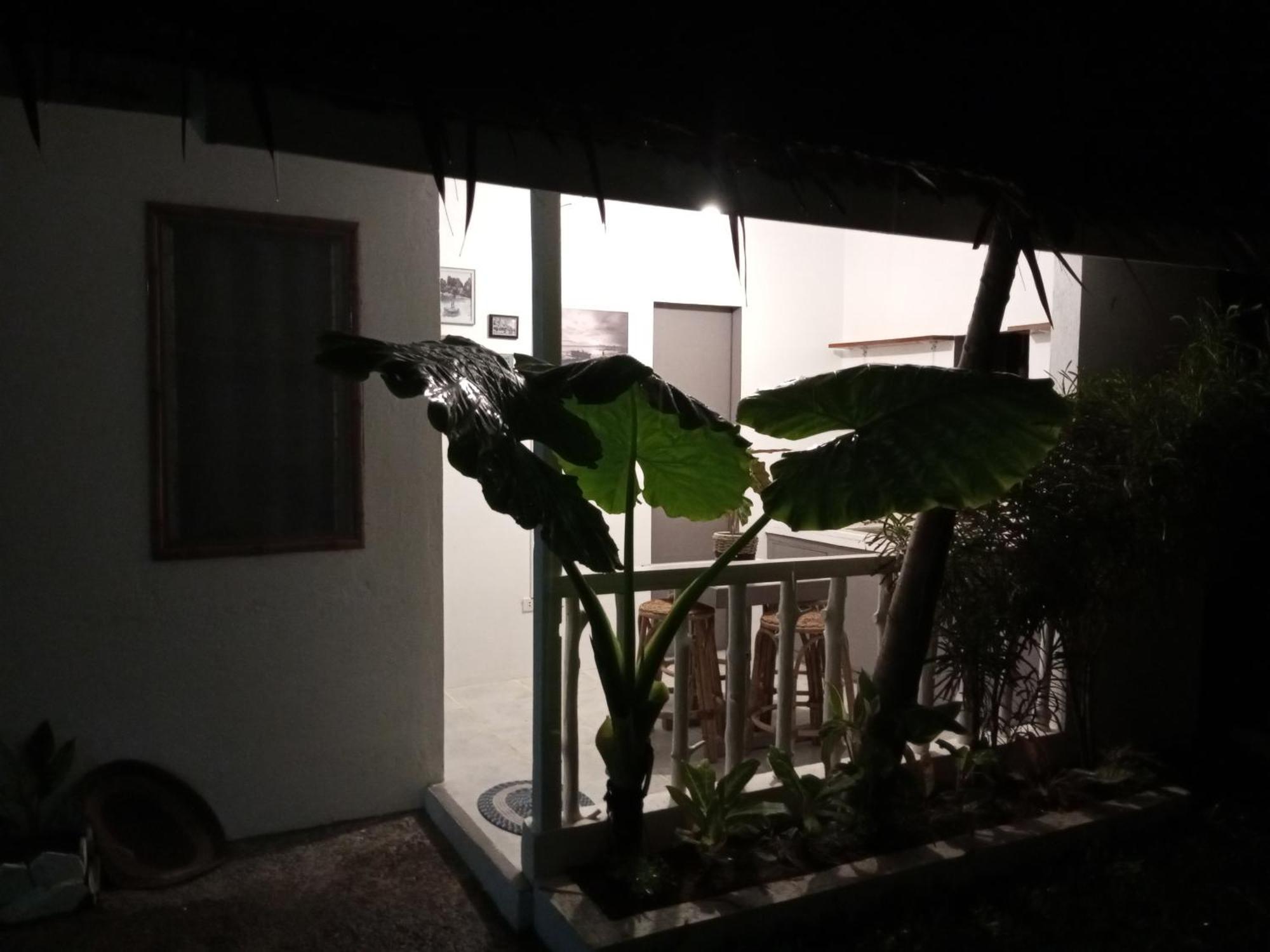 Laluna Cottages El Nido Cameră foto